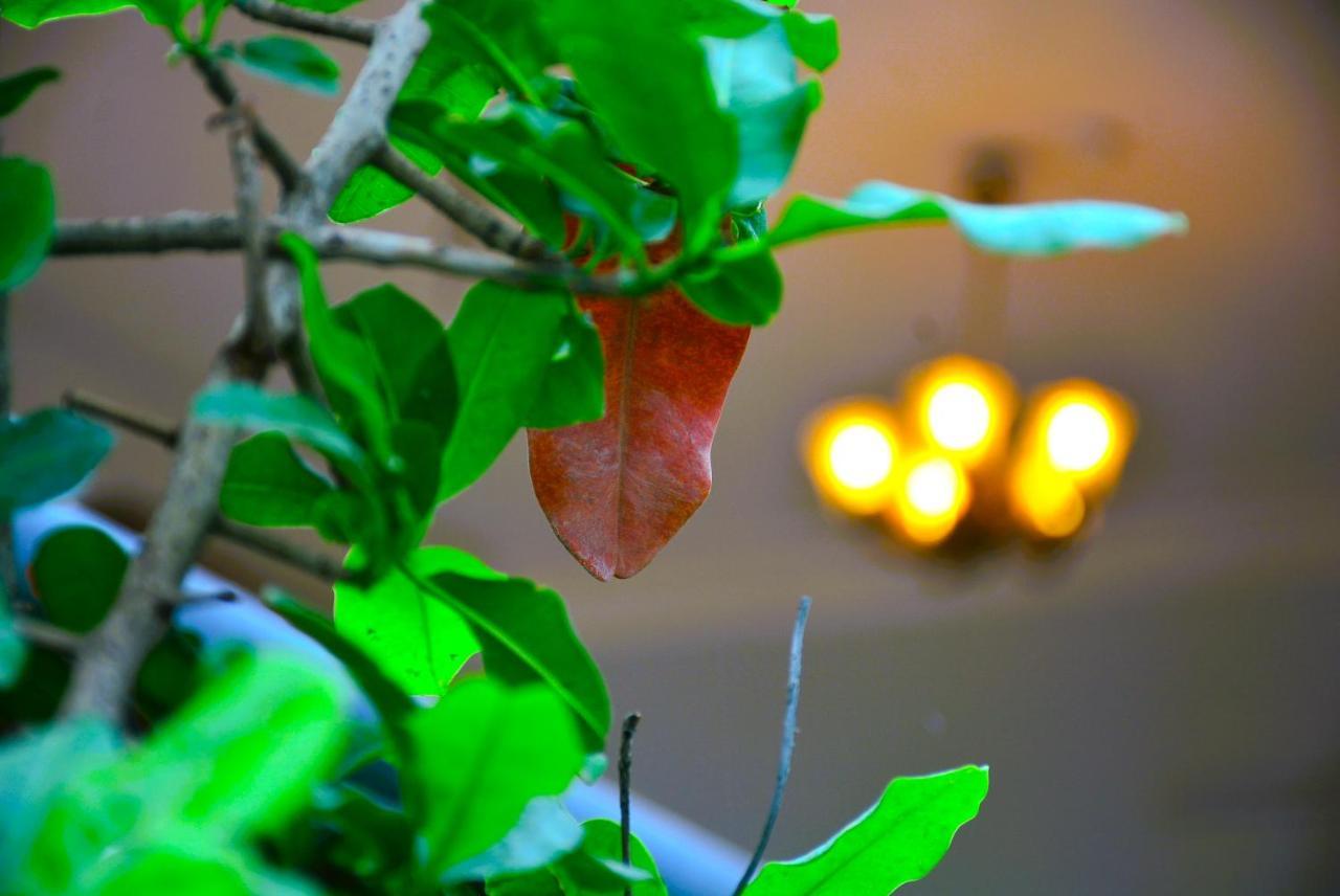 Yellow Homestay - Modern 2Bhk Ac Stay Jabalpur Exterior foto